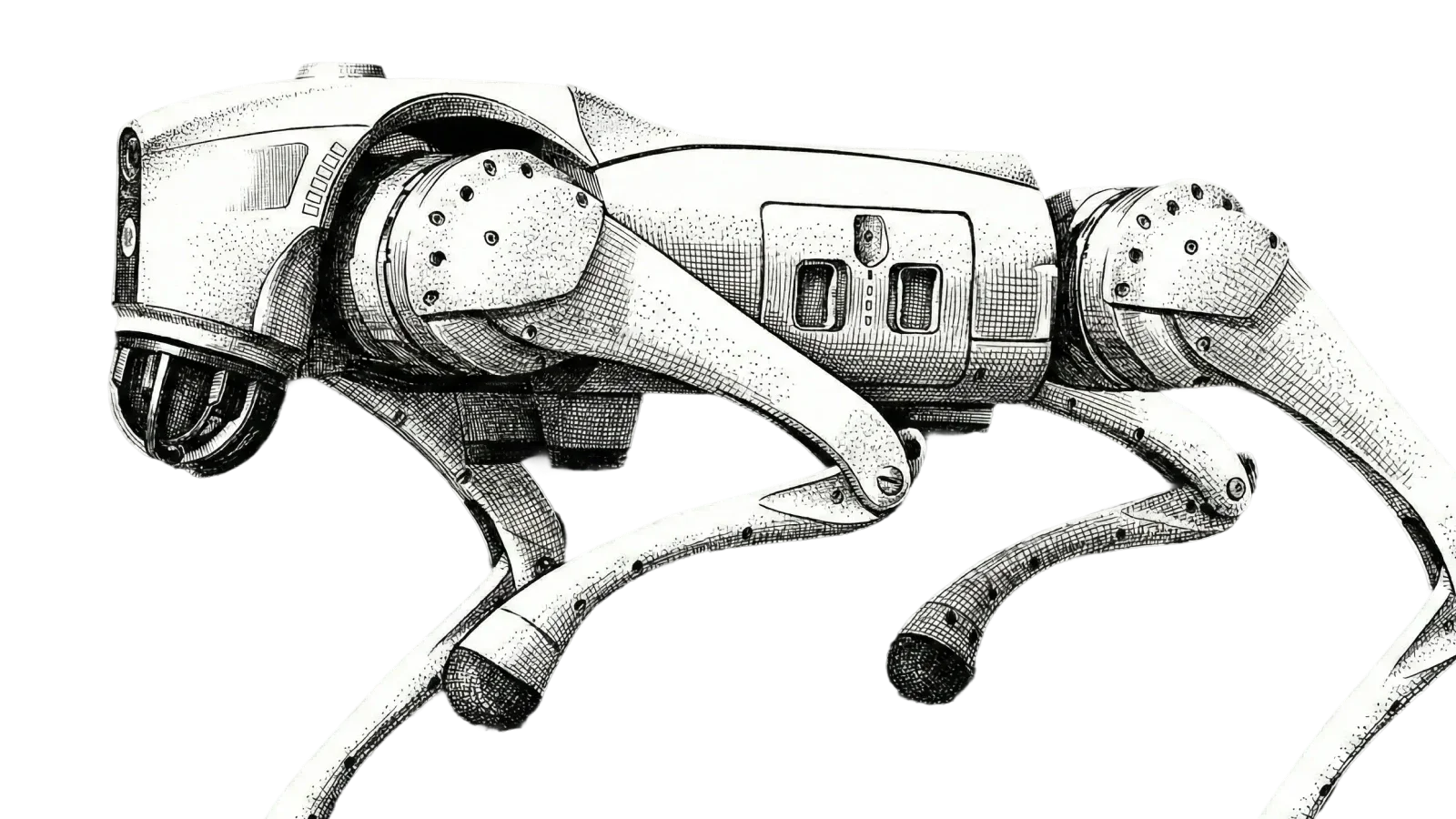 Rapid Global platform