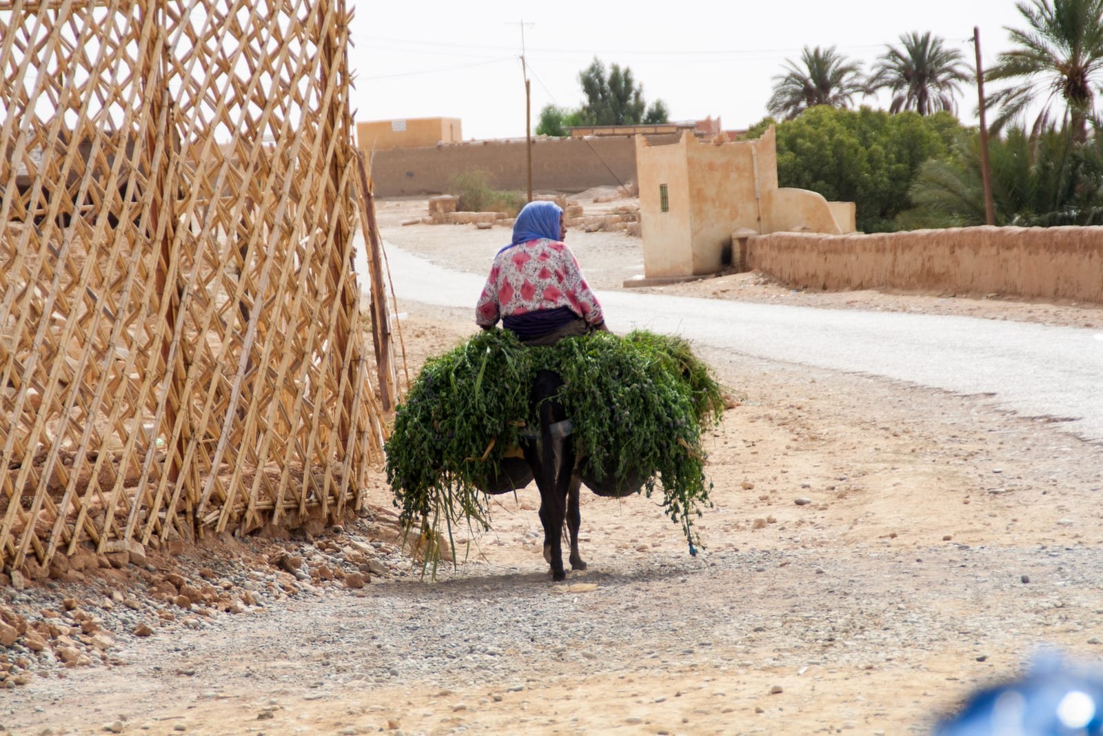 First glimpse of the blue city
