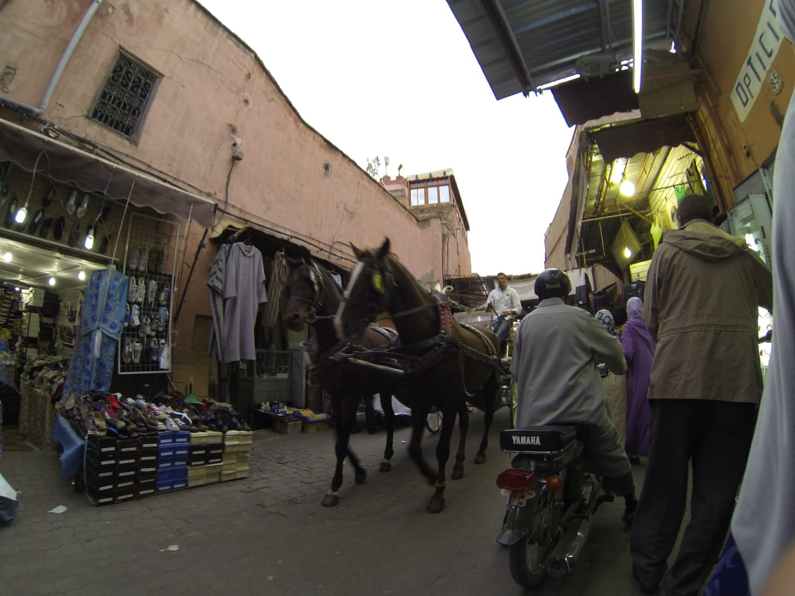 Last night on the coast