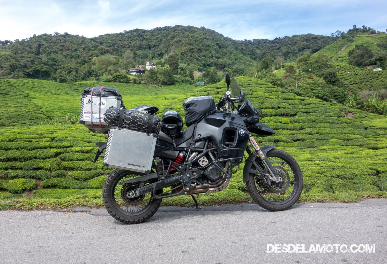 Cameron Highlands