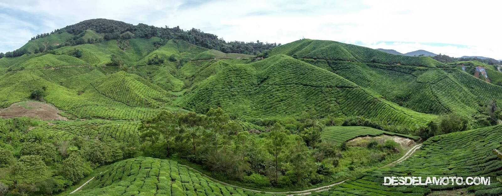 Montañas de las Cameron Highlands