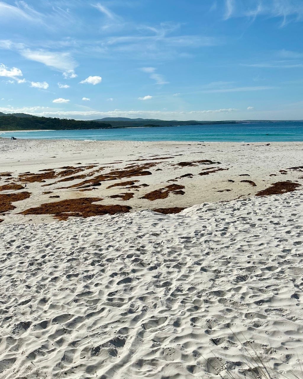 Coastal track near St Helens