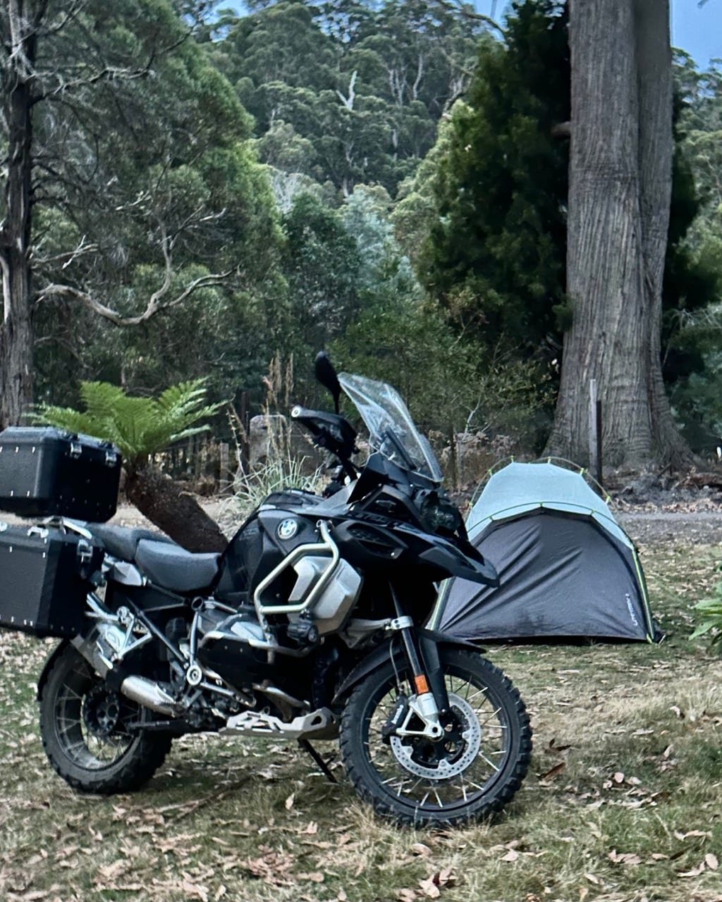 Morning at Gordon Dam campsite