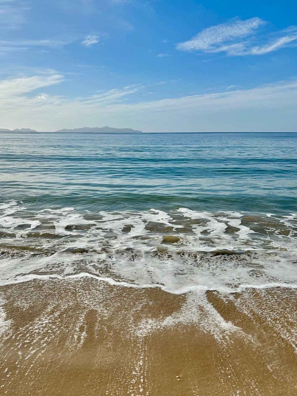 Bikes lined up at the Spoke Festival