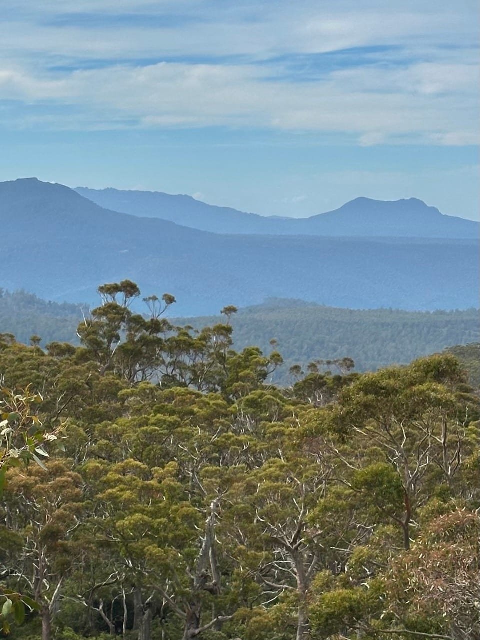 Winding road through the interior