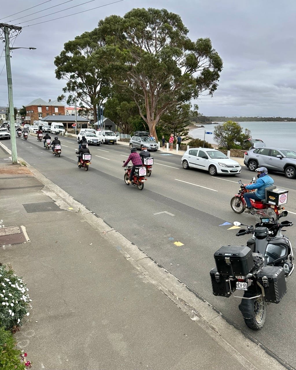 Vineyard in the Coal River Valley