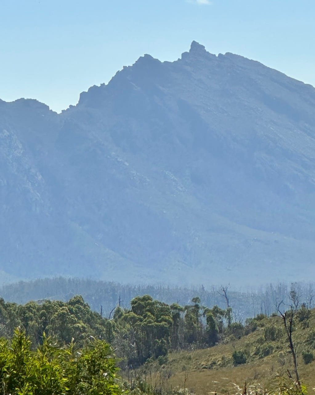 Vast wilderness from the saddle