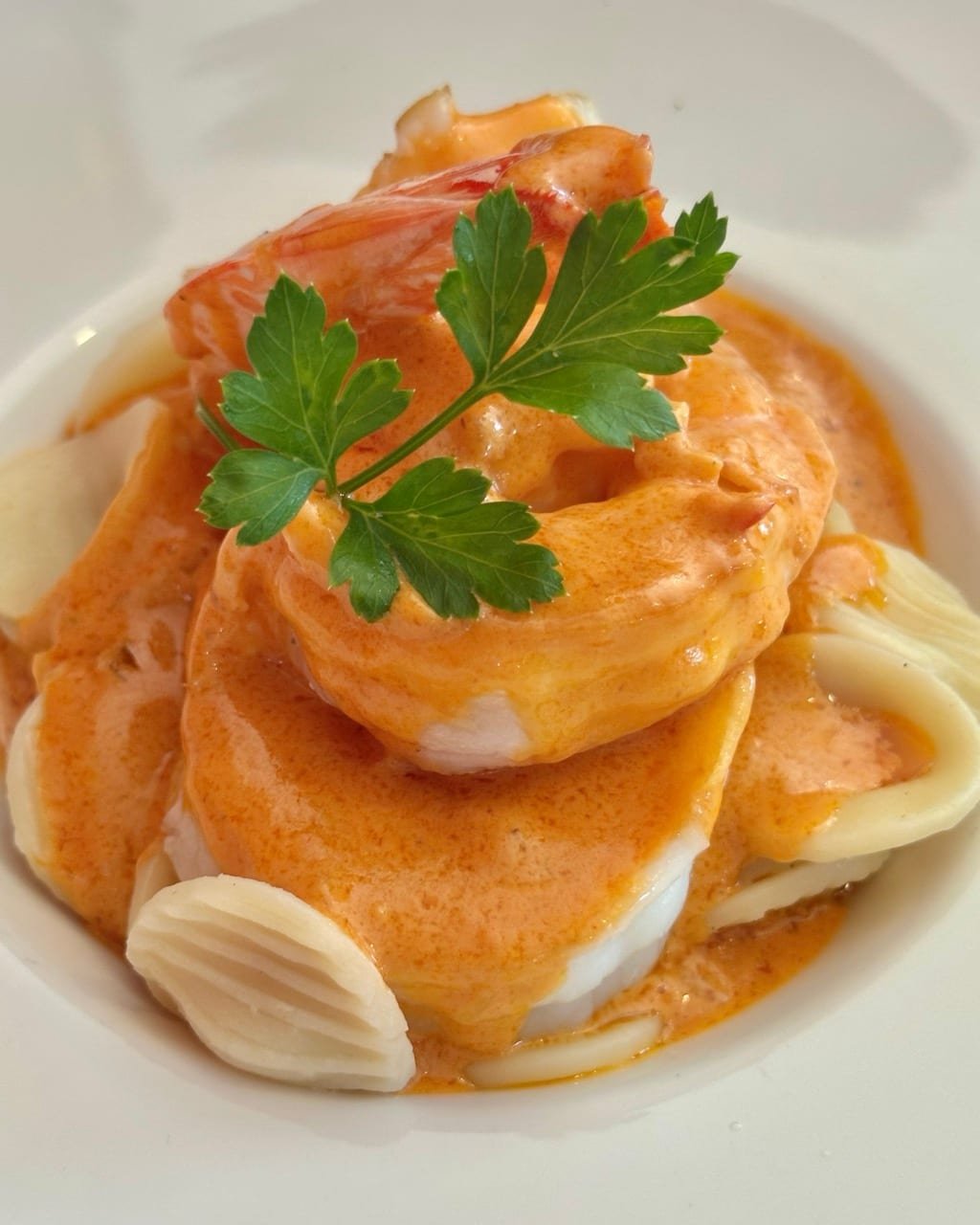 Leaving the Spoke Festival behind