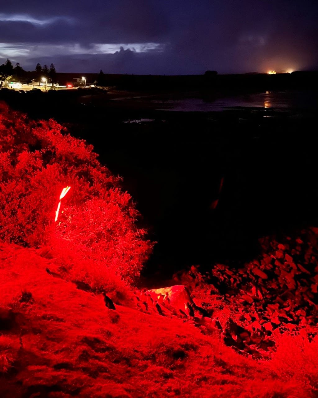 Stanley harbour at dusk