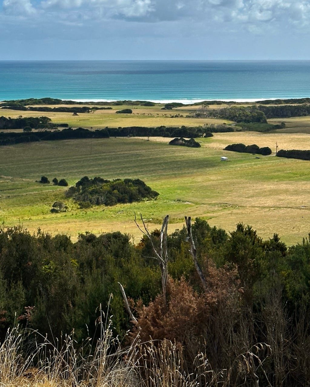 Abandoned mining ruins
