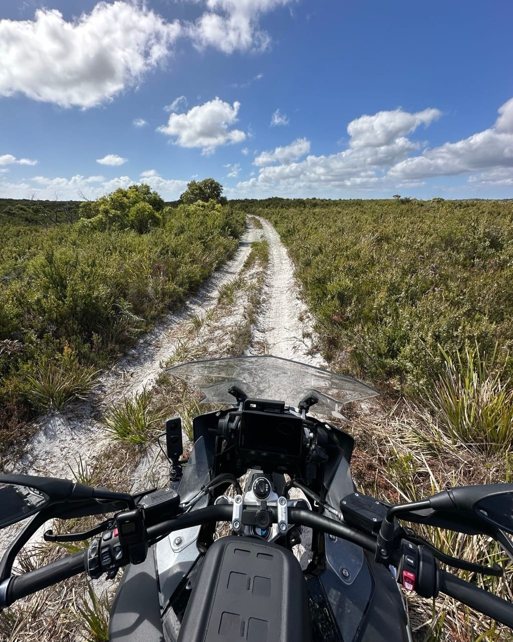 Henty Dunes from the highway