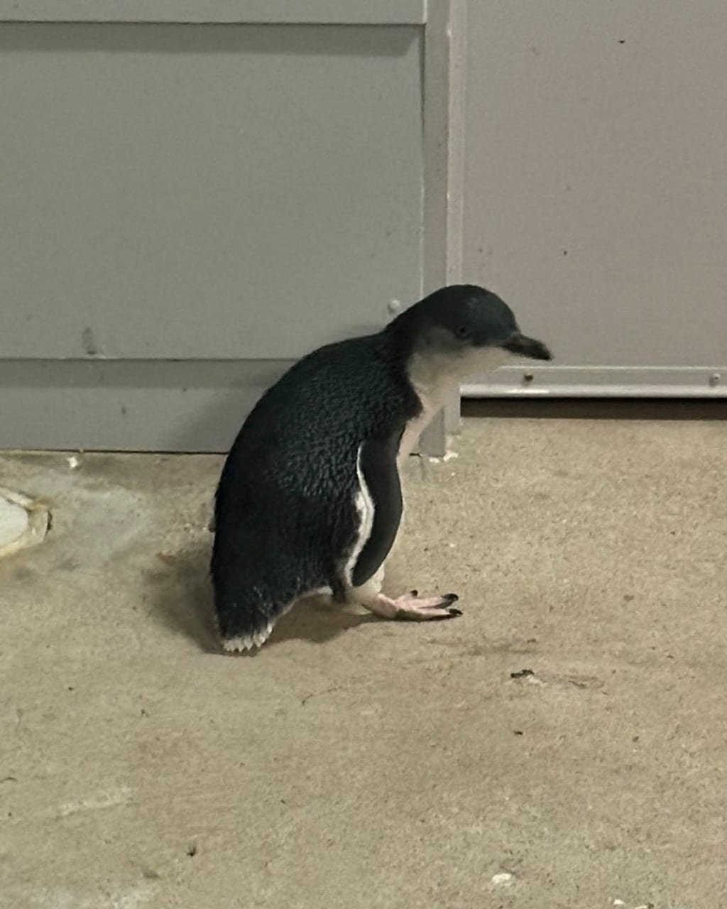 Heading east to Devonport