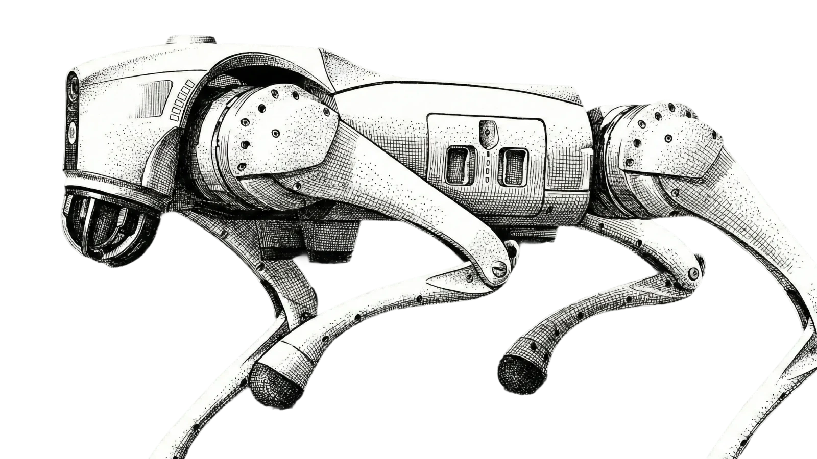 Rapid Global platform